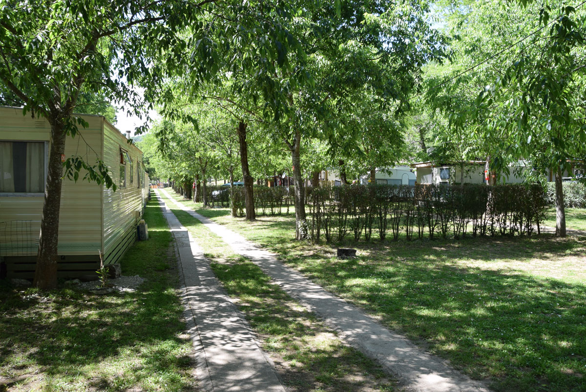 Stellplätze für Zelte und Wohnwagen auf dem Campingplatz